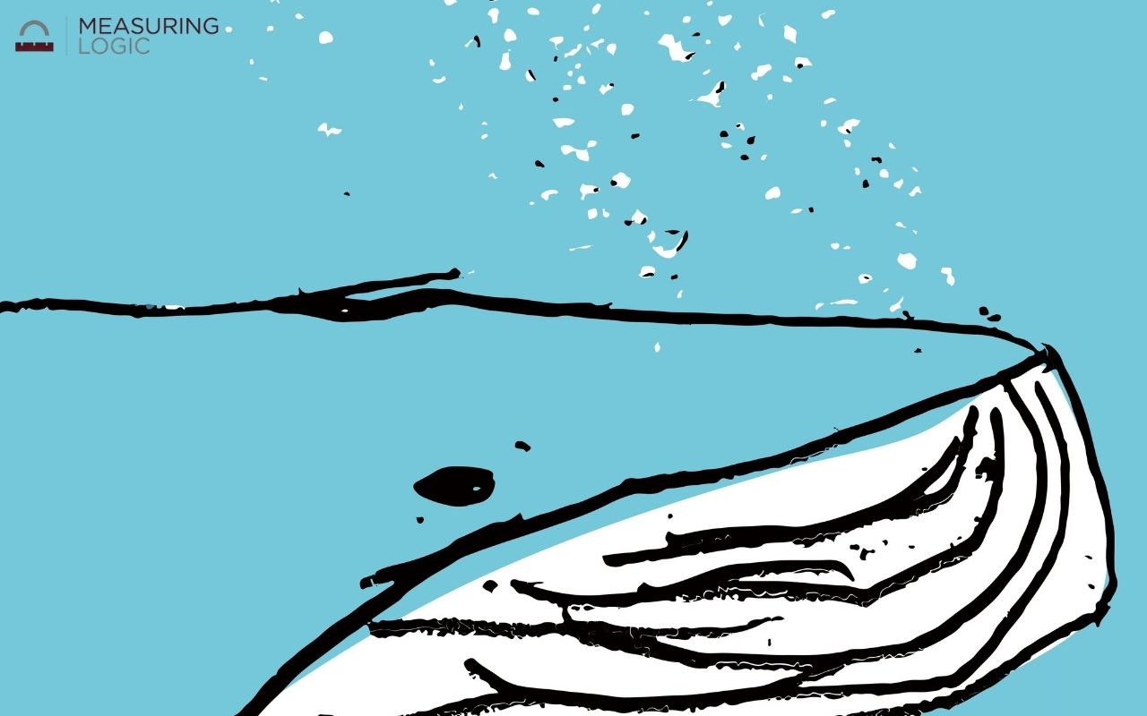 Graphic illustration of a blue whale head